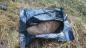 Preview: disaster body bag black with c-shaped zipper + 4 handles